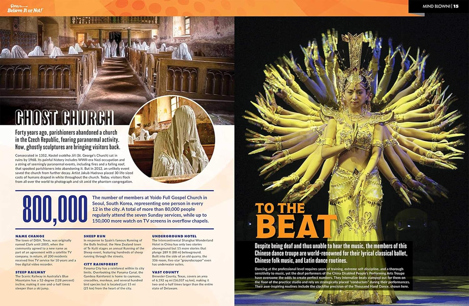 Ripley'S Believe It or Not! Mind Blown (17) (ANNUAL): Volume 17 image number 1