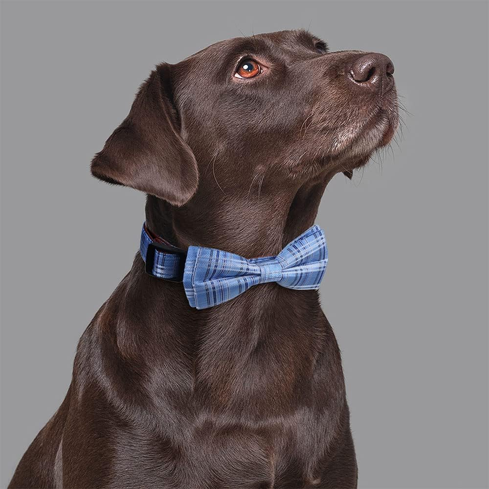 Rhea Rose Dog Collar with Bow Tie for Girl or Boy Gift Soft Durable Bowtie
