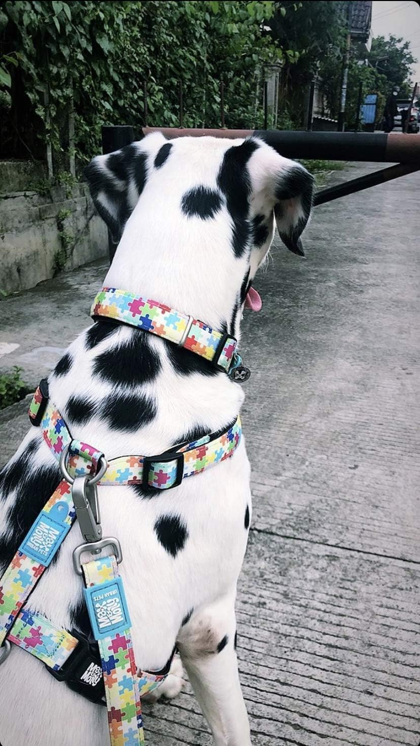 Max & Molly Puzzle Smart Id Collar |Comfortable | Odor Free Neoprene |Smart Id Tag | Lost Pet Protection Program | Extraordinary Dog Collar, L image number 2