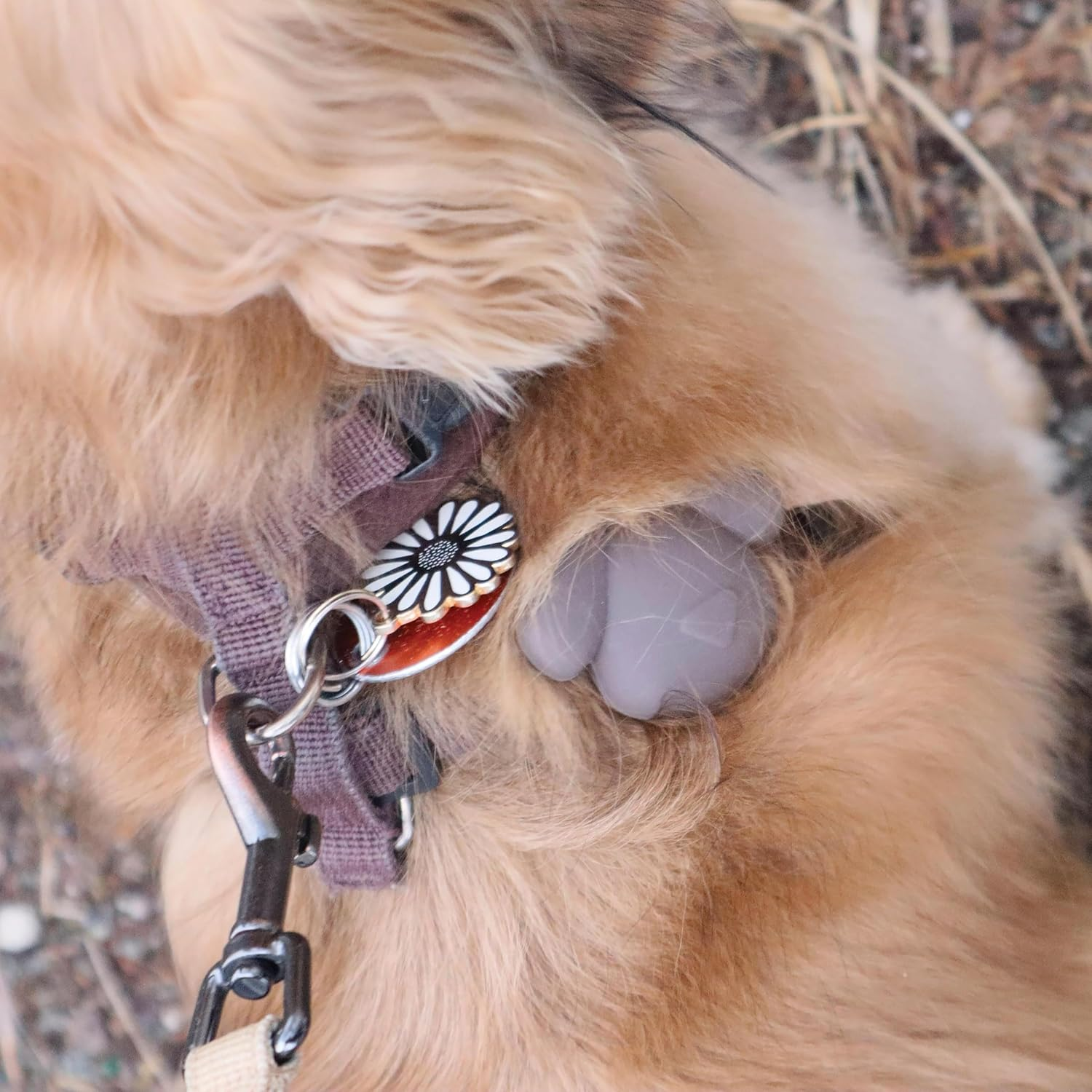 Kikkerland Dog Collar Kobe-Tag, 5.7 X 2 X 4 Cm image number 3