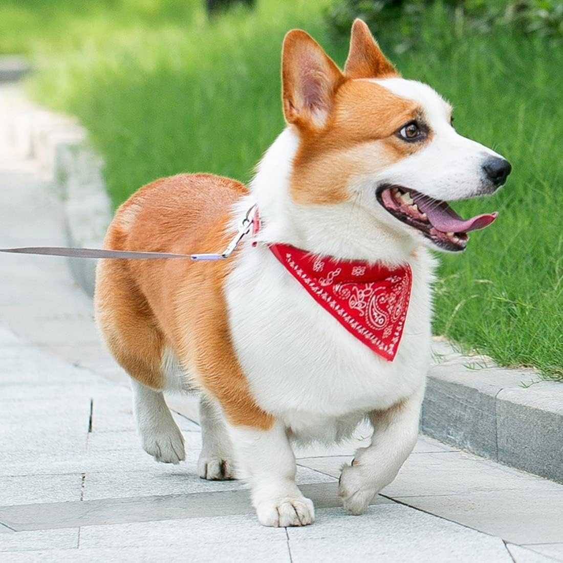 Walquicks 3 Pack Pet Triangle Scarf, Bib with Adjustable Buckle Pet Dog Cat Neck Scarf Bandana Collar Neckerchief Accessory for Dog Cat Decoration, Small Size