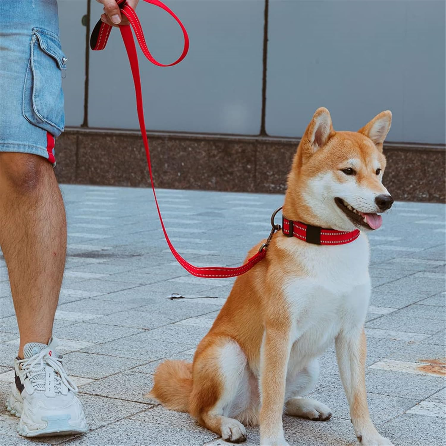 EXCELLENT ELITE SPANKER Reflective Strong Nylon Dog Training Leash Rope 4 Feet Long with Handle for Small and Medium Dogs (Green, 4.3Ft X 3/4 In.) image number 1