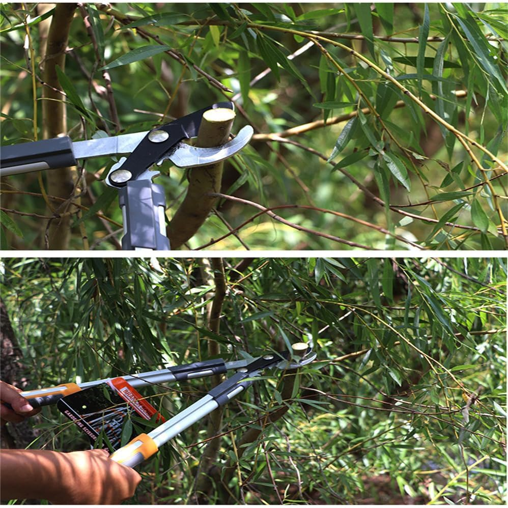Bypass Loppers,Light Duty Tree Loppers, 62Cm Strong and Powerful Scissors, Used for Pruning Trees and Fruit Trees within 3Cm in Garden, Effortless Scissors, with a Composite Effect of 3 Times Power image number 3