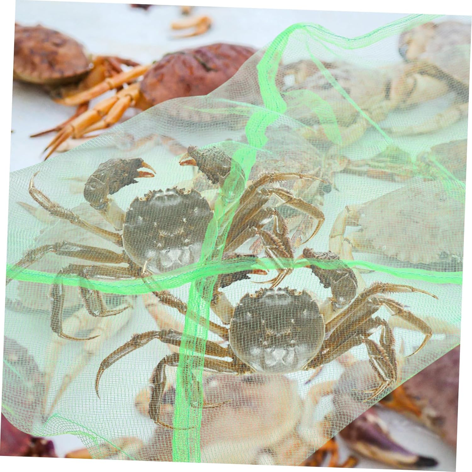 Balacoo 10Pcs Drawstring Crab Mesh Bags Outdoor Fishing Nets for Saltwater Crabbing Portable Multi-Use Pouches Easy-Clean Storage for Crabs and Fish image number 5