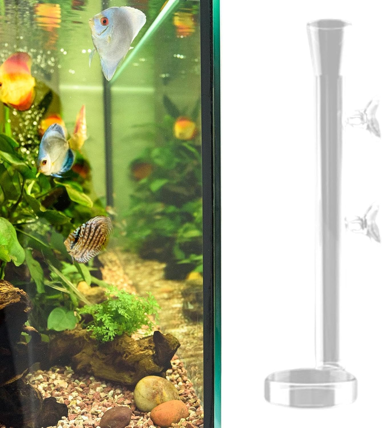 MFMEXUL Elegant Glass Feeder Tube for Aquatic Creatures, 20Cm image number 3