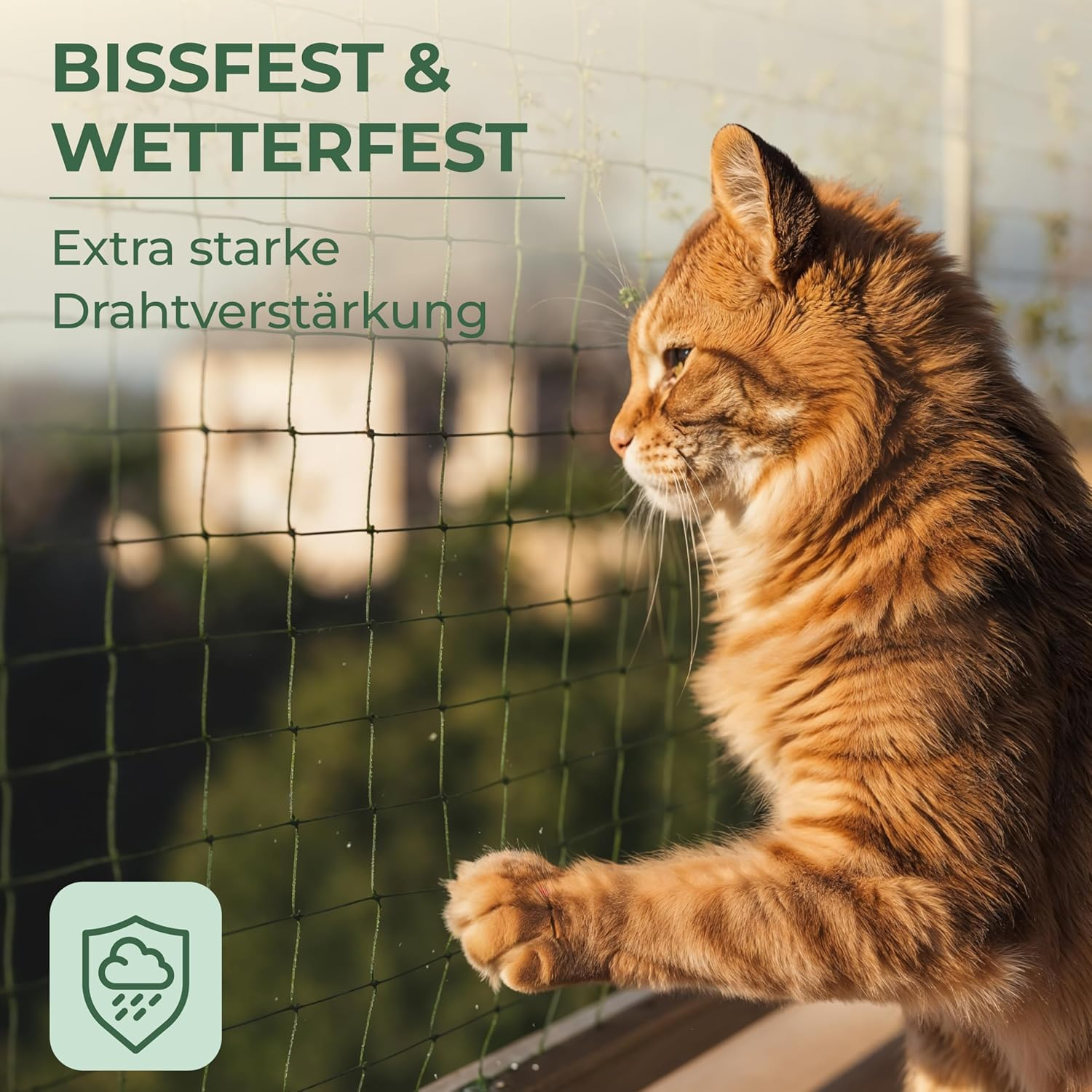 WOOWOOD Cat Net for Balcony [No Drilling Required] - Cat Net Wire Reinforced - Cat Protection Net Weatherproof & Uv-Resistant - Cat Grid Including 20 Cable Ties & Dowels - Cat Net Balcony and Window image number 3