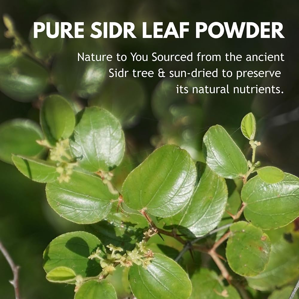 Hebhac Herbs Sidr Powder 227G | Ideal for Skincare & Haircare | Nourishing Hair and Skin | Natural, Pure and Fresh | Versatile Beauty Ingredient image number 1