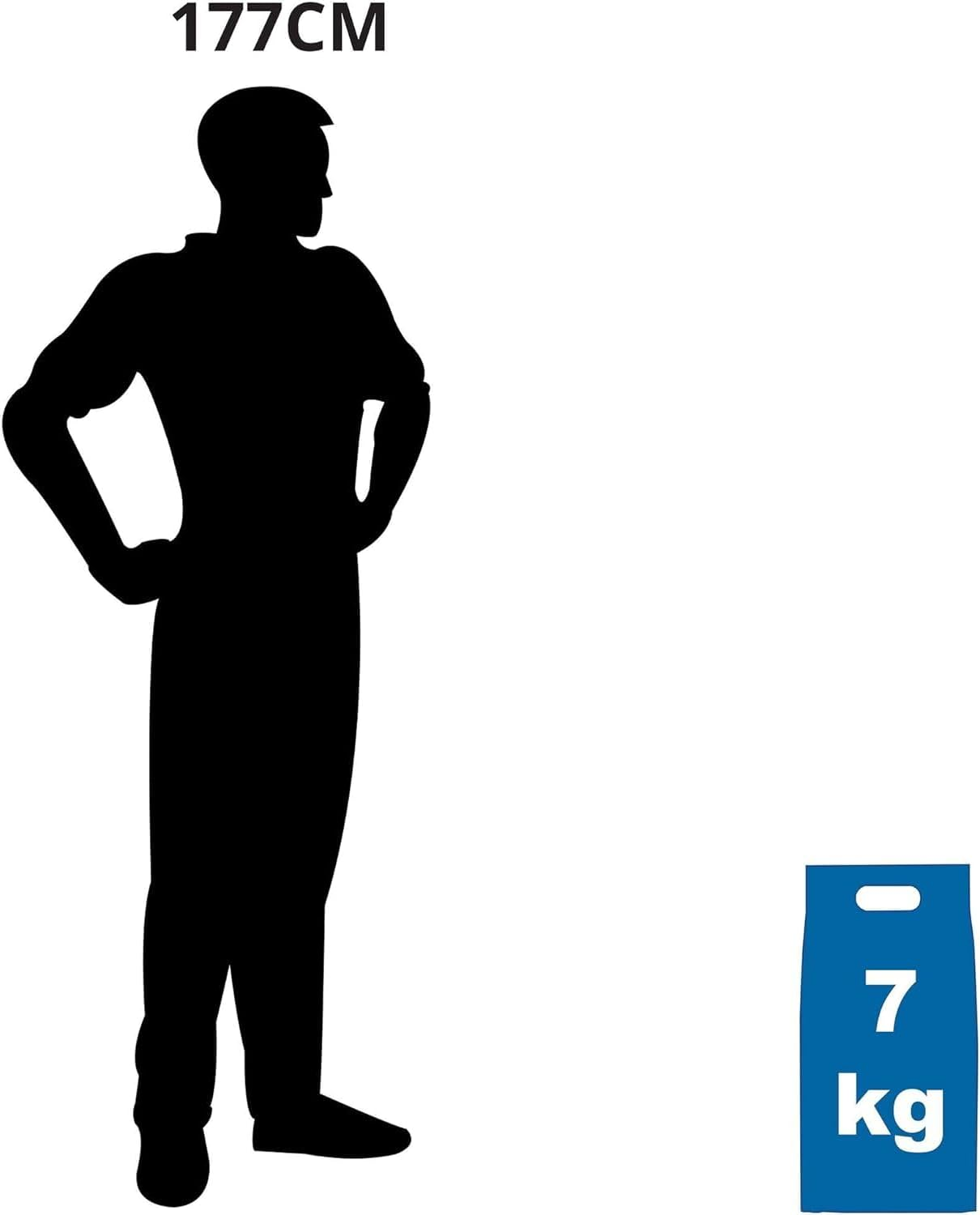 Cat Everyday Essentials Bundle Pack, Catsan Litter 7Kg and Dine Cat Food Classic Collection 85Gm, 28Pack image number 5