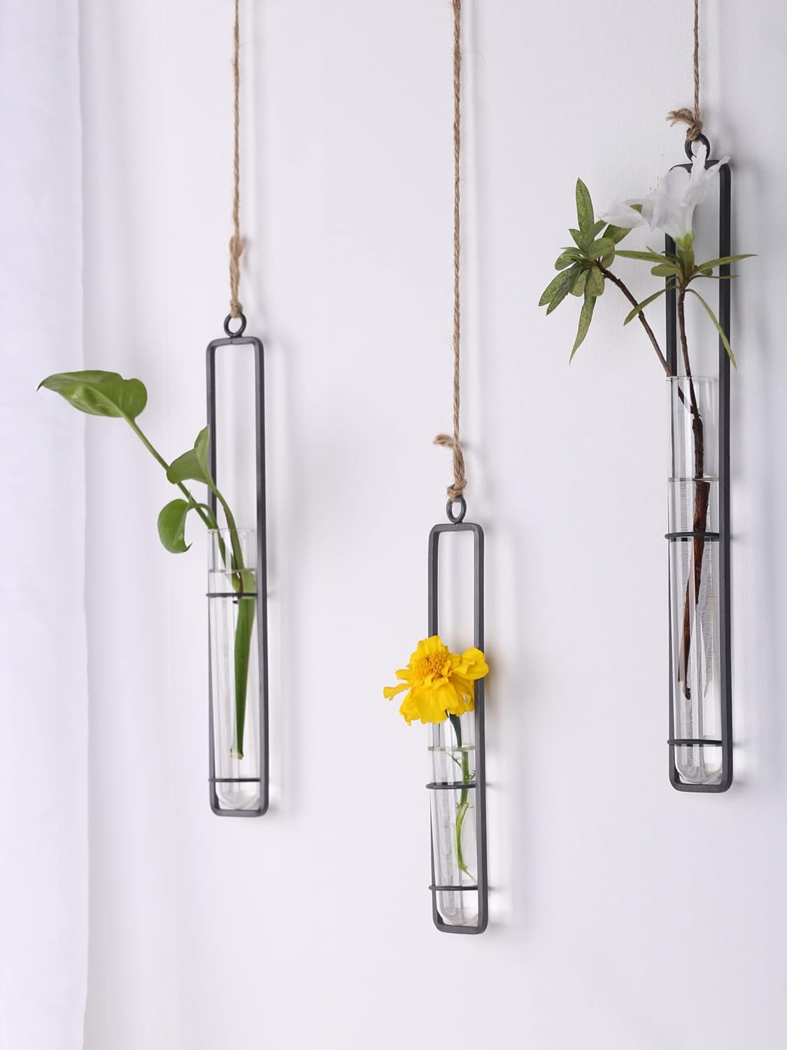 XMGZQ 6Pcs Plant Propagation Stations Wall Hanging,Clear Glass Propagation Tubes,Hanging Planters for Indoor Plants、Kitchen Window、Bathroom,Black Metal Test Tube Vases for Home Decoration (S,M,L)