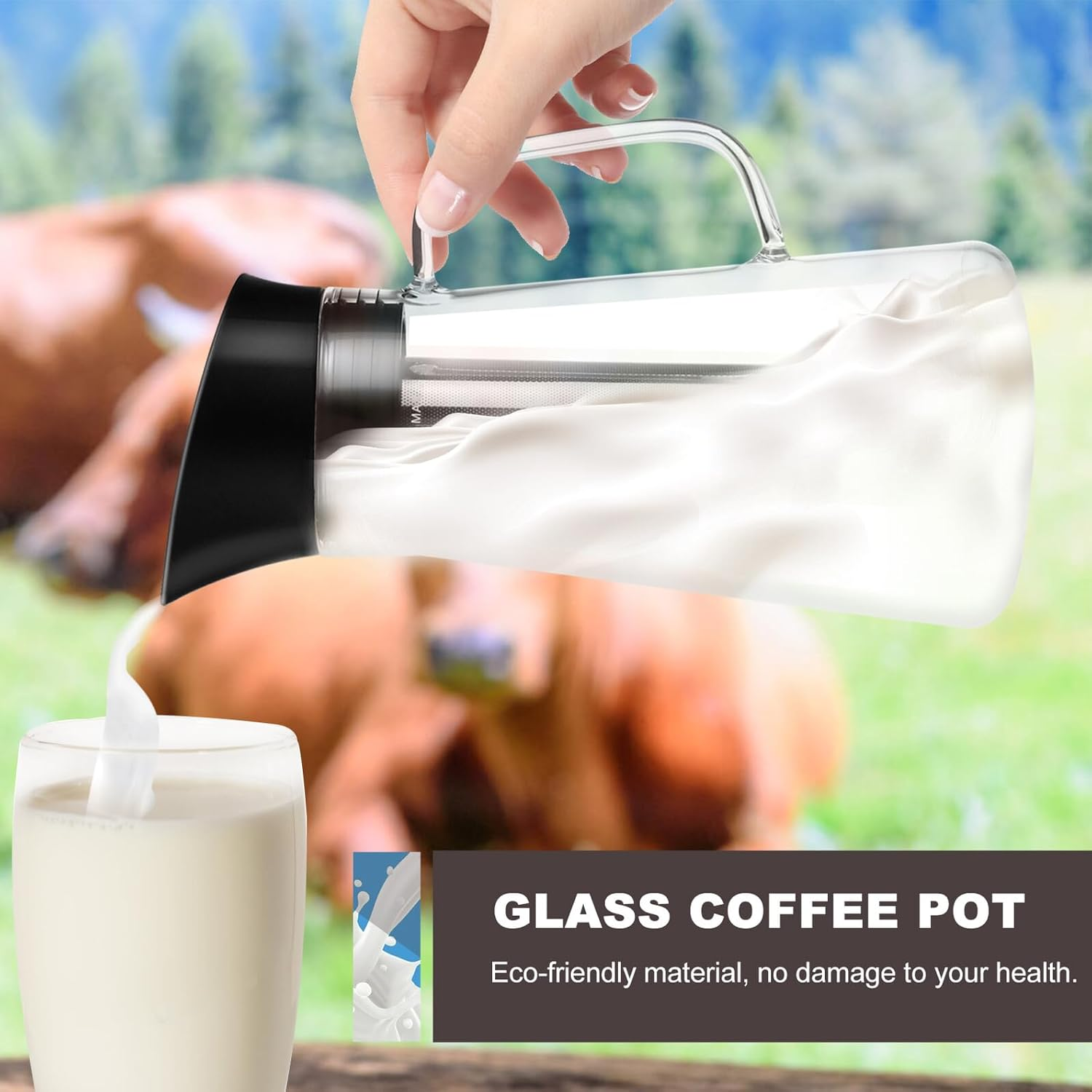 PERSELOSO Large Capacity Portable Heat-Resistant Glass Coffee Kettle with Filter Cold Brew Coffee and Tea Pot Lightweight and Easy to Clean for Travel and Home Use image number 6