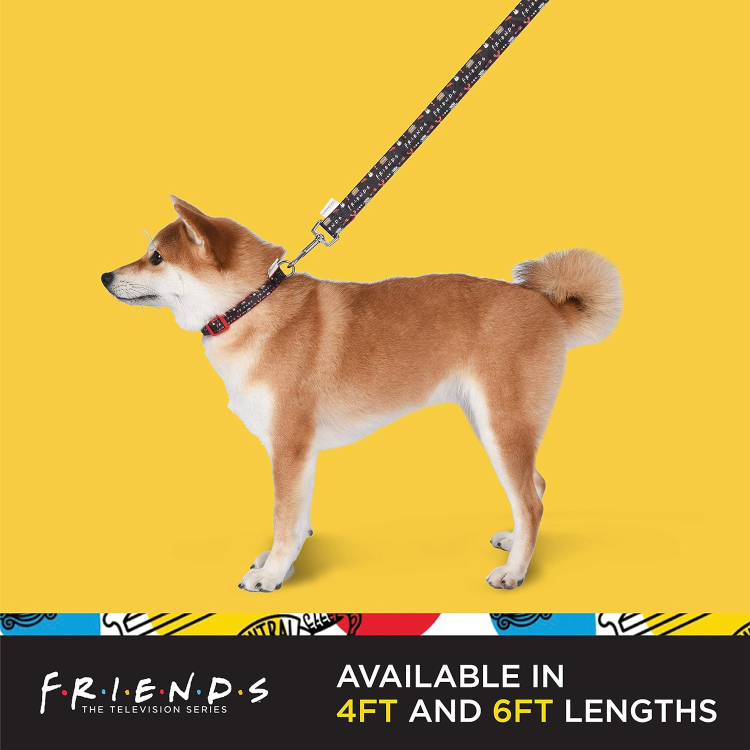 Friends TV Show Iconic Graphics Dog Leash, 6 Ft Dog Leash (72 Inches) | Cute Black Dog Leash Easily Attaches to Any Dog Collar or Harness | Friends TV Show Dog Leash for All Dogs image number 3