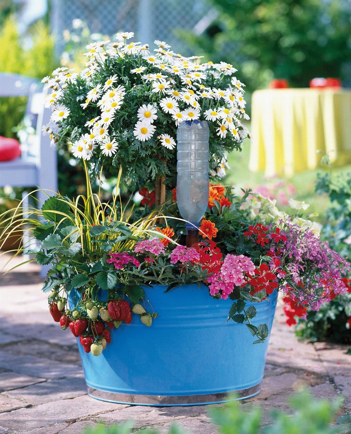 Blumat 22202 Bottle Adapter for Plant Watering, X-Large, 2-Pack image number 1