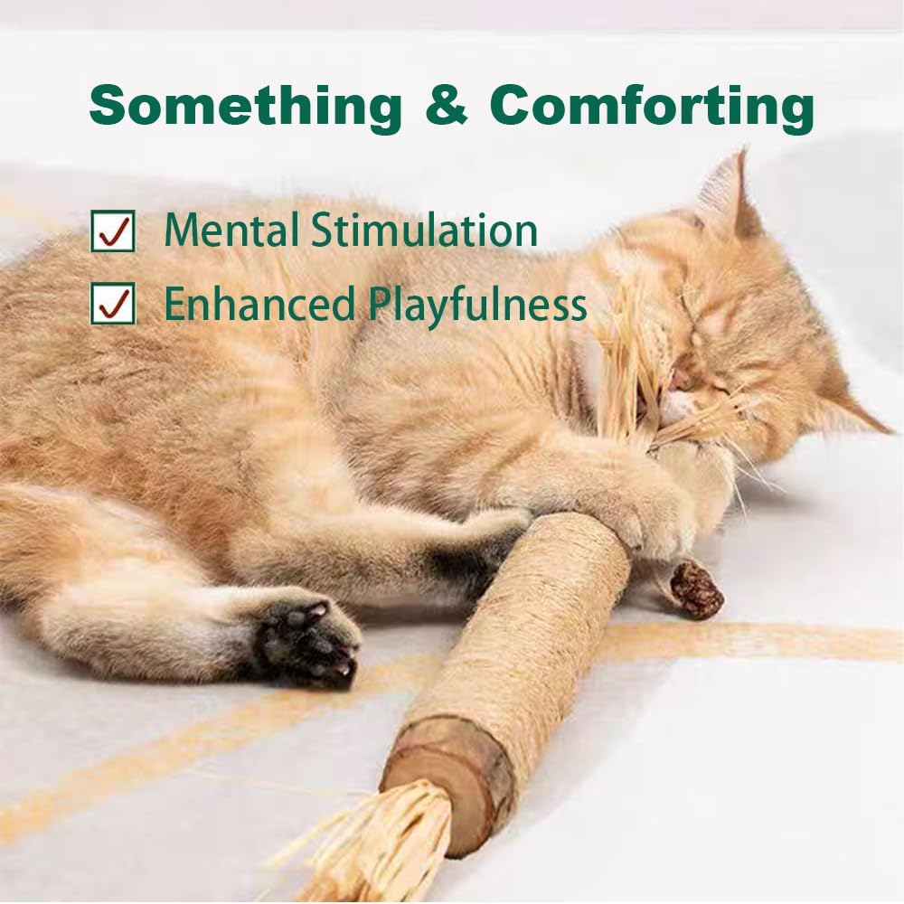 Huge Silvervine Sticks Cat Toys, Large Natural Catnip Kittens Chew Toy for Teeth Cleaning,Big Catmint Blend Stick, Dental Kitty Chews for Indoor image number 3