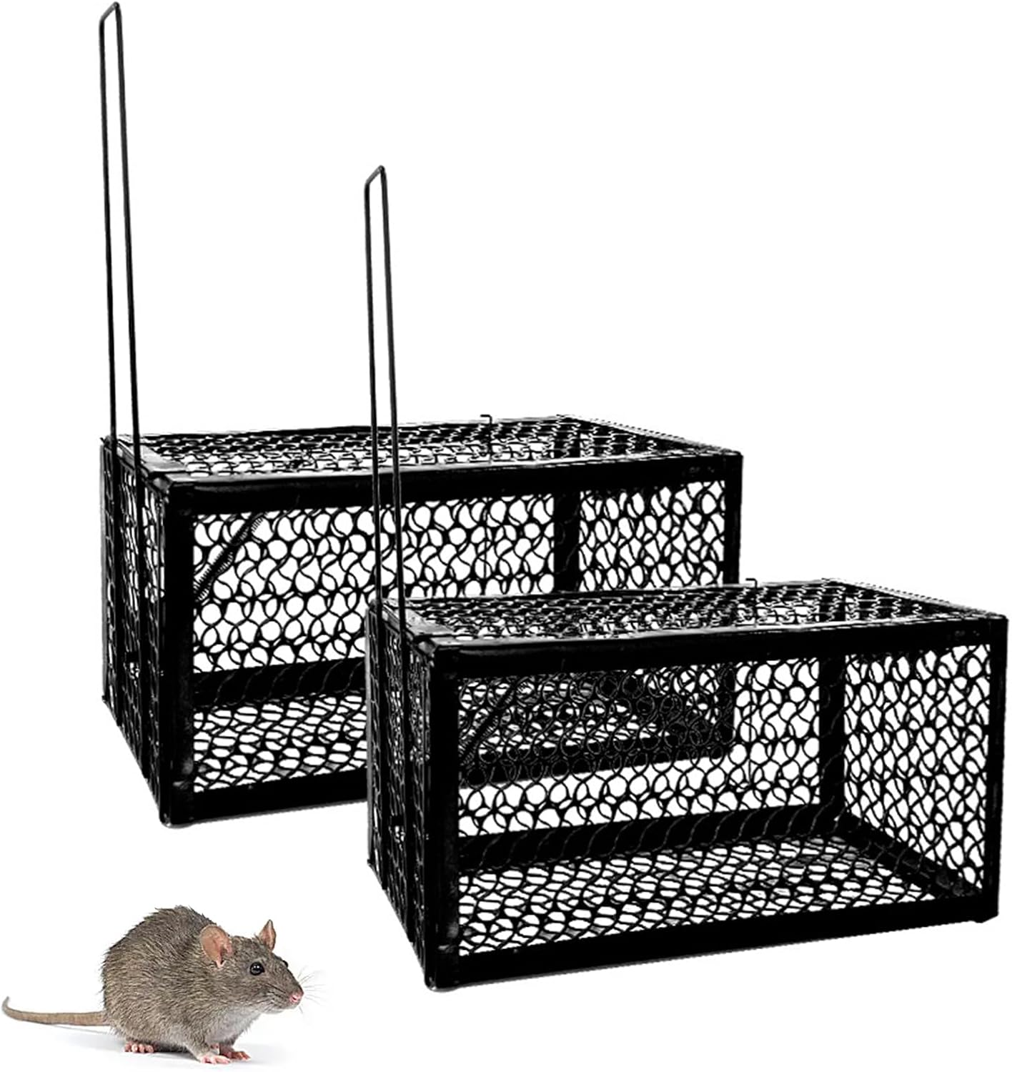 Humane Live Animal Trap Cage for Mice Rats Voles Chipmunks Hamsters Rodents - Safe Catch & Release Reusable Rodent Trap for Indoor Outdoor Far Pest Control - Small Medium Critter Cage Trap (2) image number 4