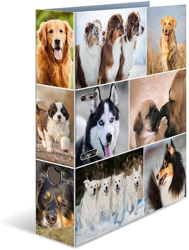 HERMA 7164 Folder A4 Animals Horses, 7 Cm Wide, Cardboard Folder with Inner Print for School and Office, Sturdy Children'S Ring Binder Made of Cardboard for Boys and Girls