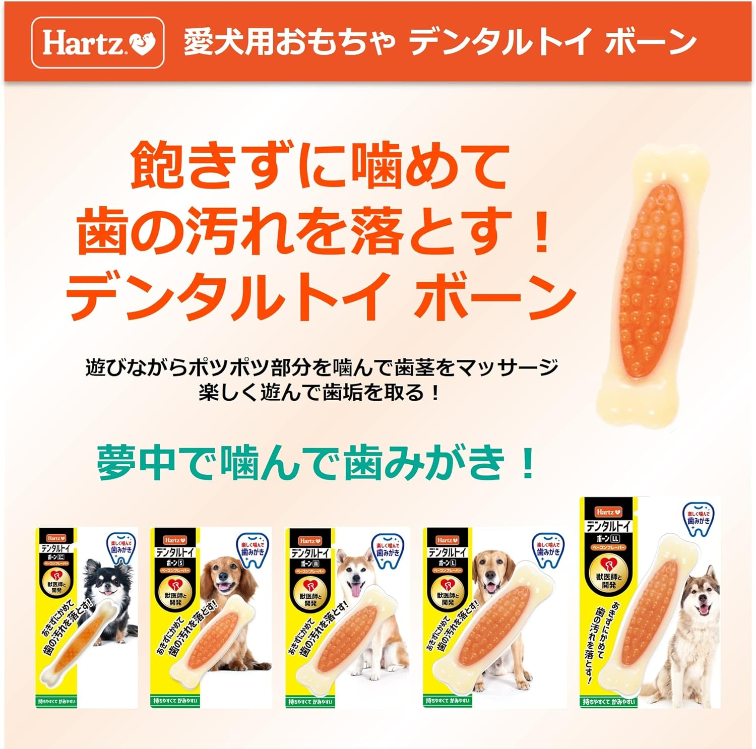 Dental Toy Bone Dog Toy Toothpaste Toy Medium X 2 Bacon Flavor | Hearts | Dental Care | Toothpaste image number 5