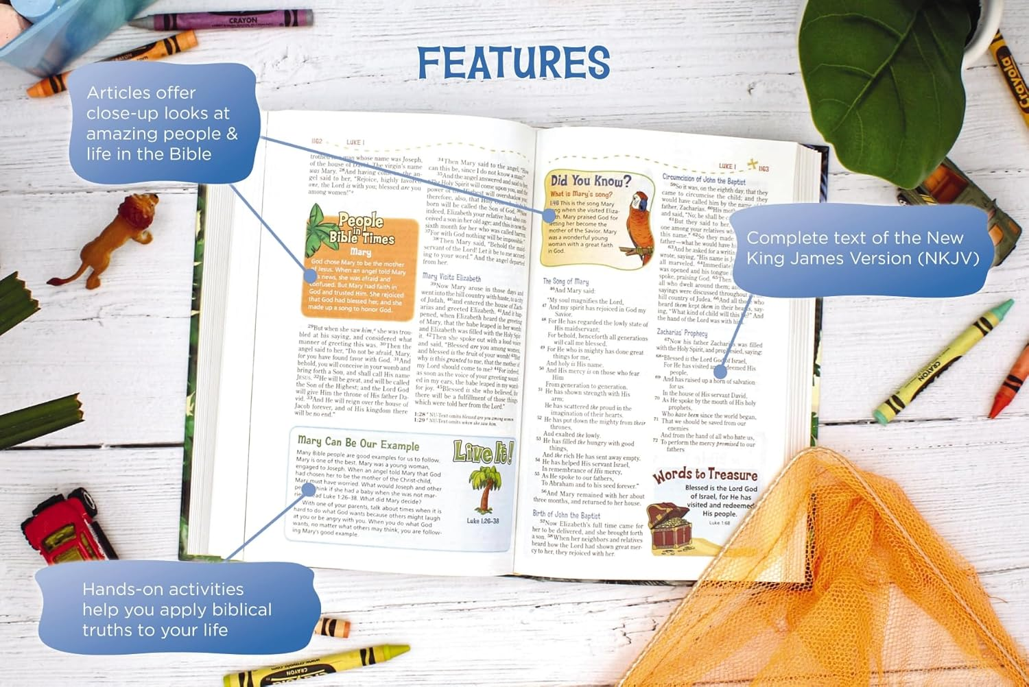 Adventure Bible-Nkjv image number 3