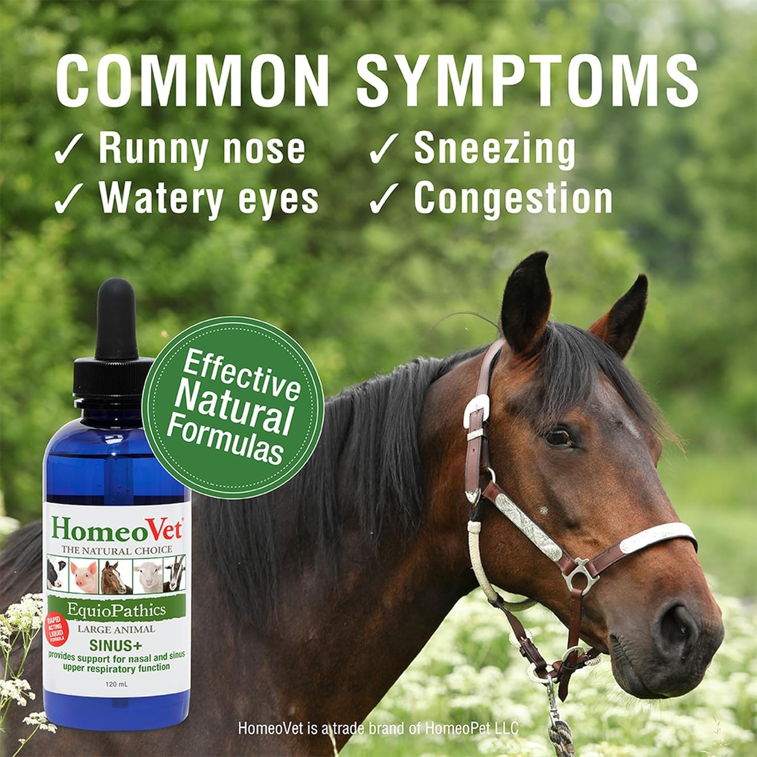 Homeovet Equine Sinus + 120 Ml - Horse Upper Respiratory Tract Relief Support for Nasal and Sinus Tract Health, Use for a Runny Nose, Watery Eyes, Sneezing and Congestion. Natural Horse Nasal Relief image number 5
