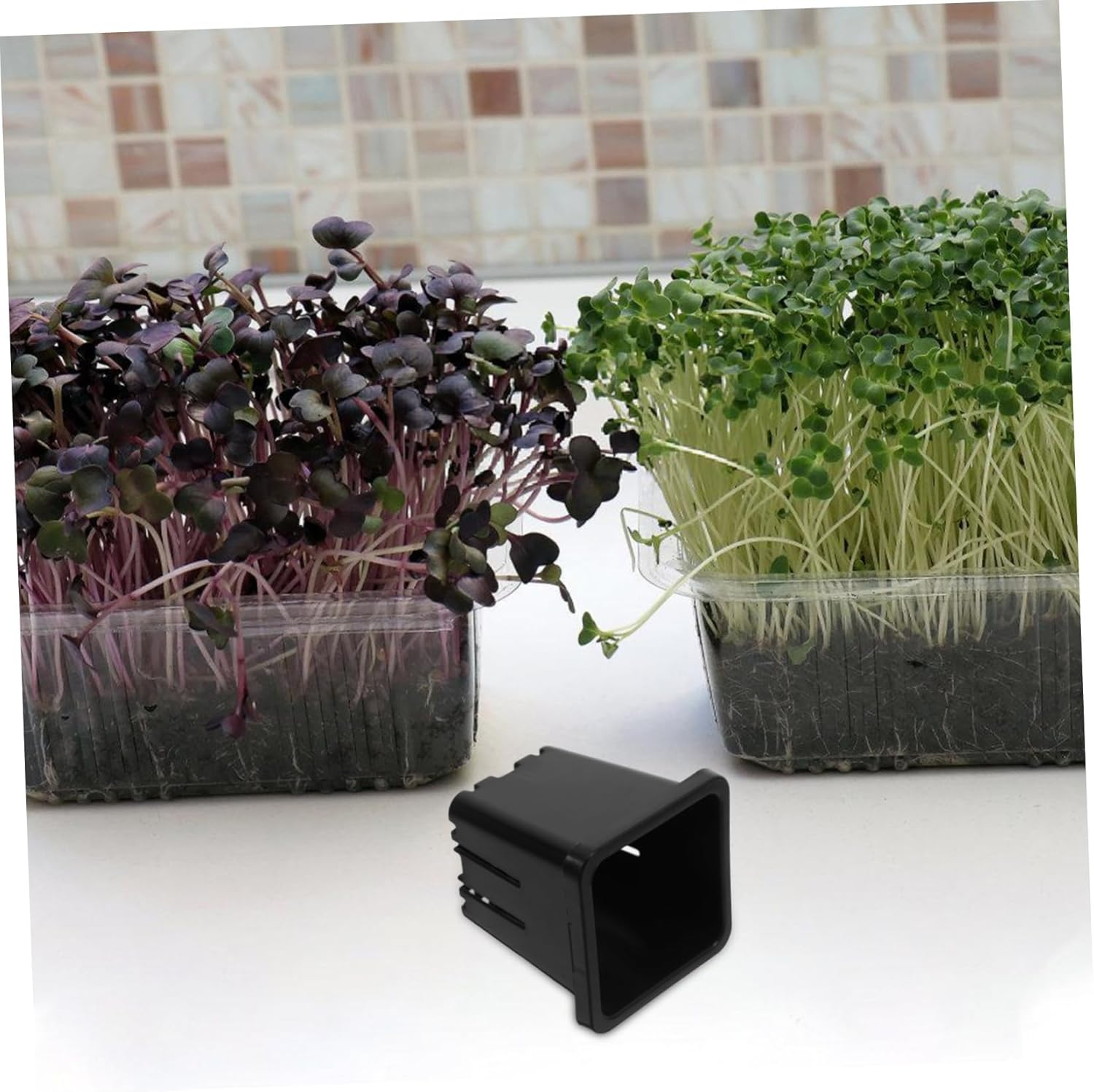 Parliky Plastic Hydroponic Pots Set of 10 Versatile Baskets for Indoor/Outdoor Gardening Aquatic Planting image number 2