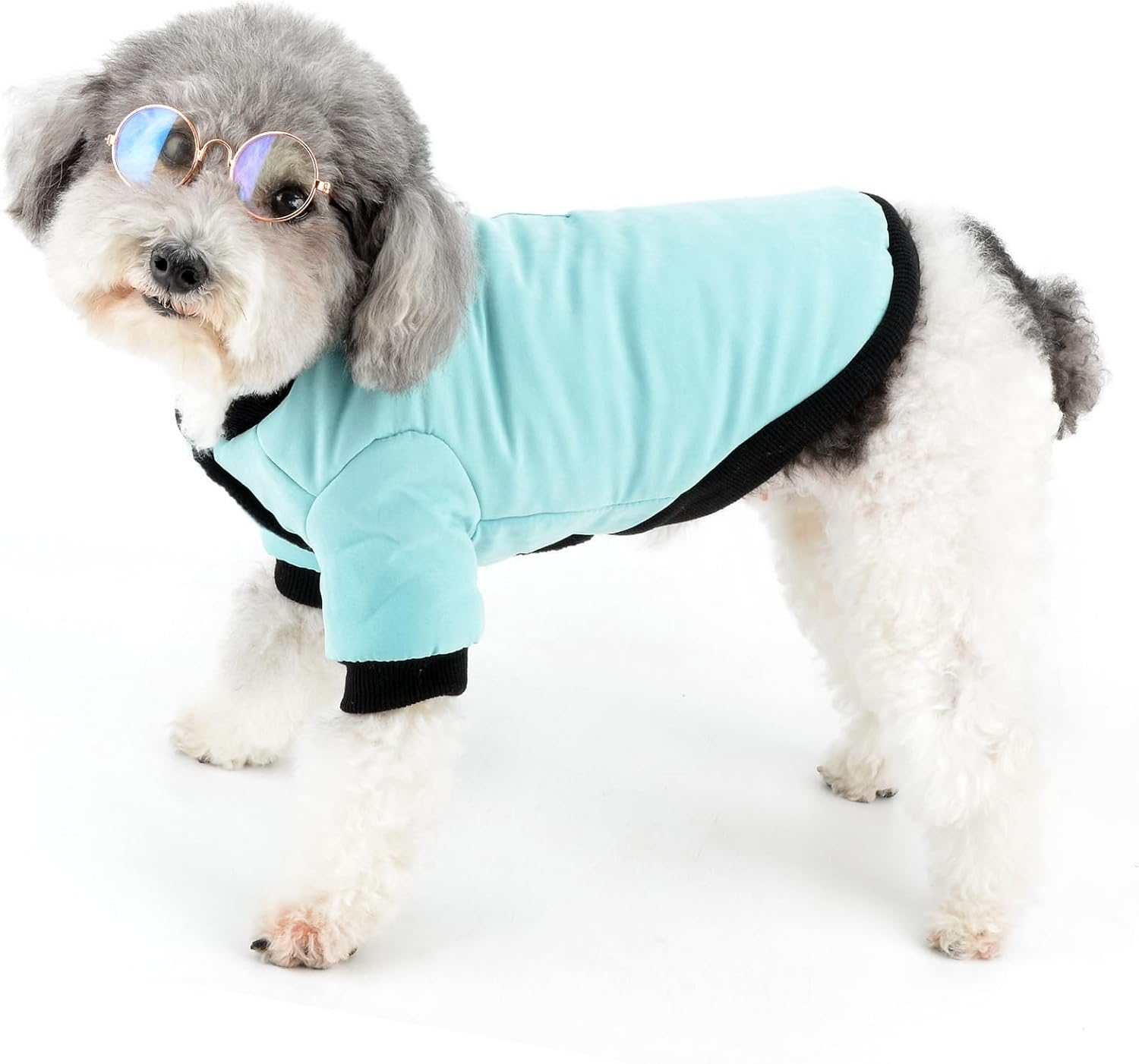 Zunea Dog Winter Coats for Small Dogs Soft Warm Fleece Lined Puppy Clothes with D-Ring Cold Weather Pet Girl Boy Apparel Windproof Coat with Zipper Pocket Chihuahua Yorkie Clothing Blue XL image number 6
