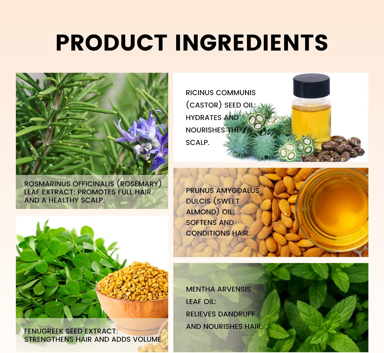 Organic Rosemary & Fenugreek Herbal Hair Oil for Hair Growth, for Natural Hair & Scalp Treatment for All Hair Types, Women & Men image number 6