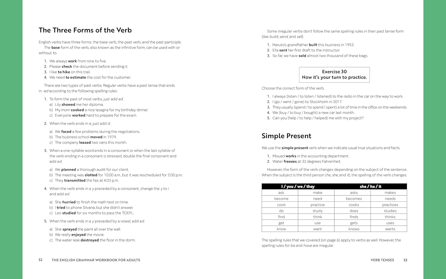 The English Grammar Workbook for Adults: a Self-Study Guide to Improve Functional Writing image number 3