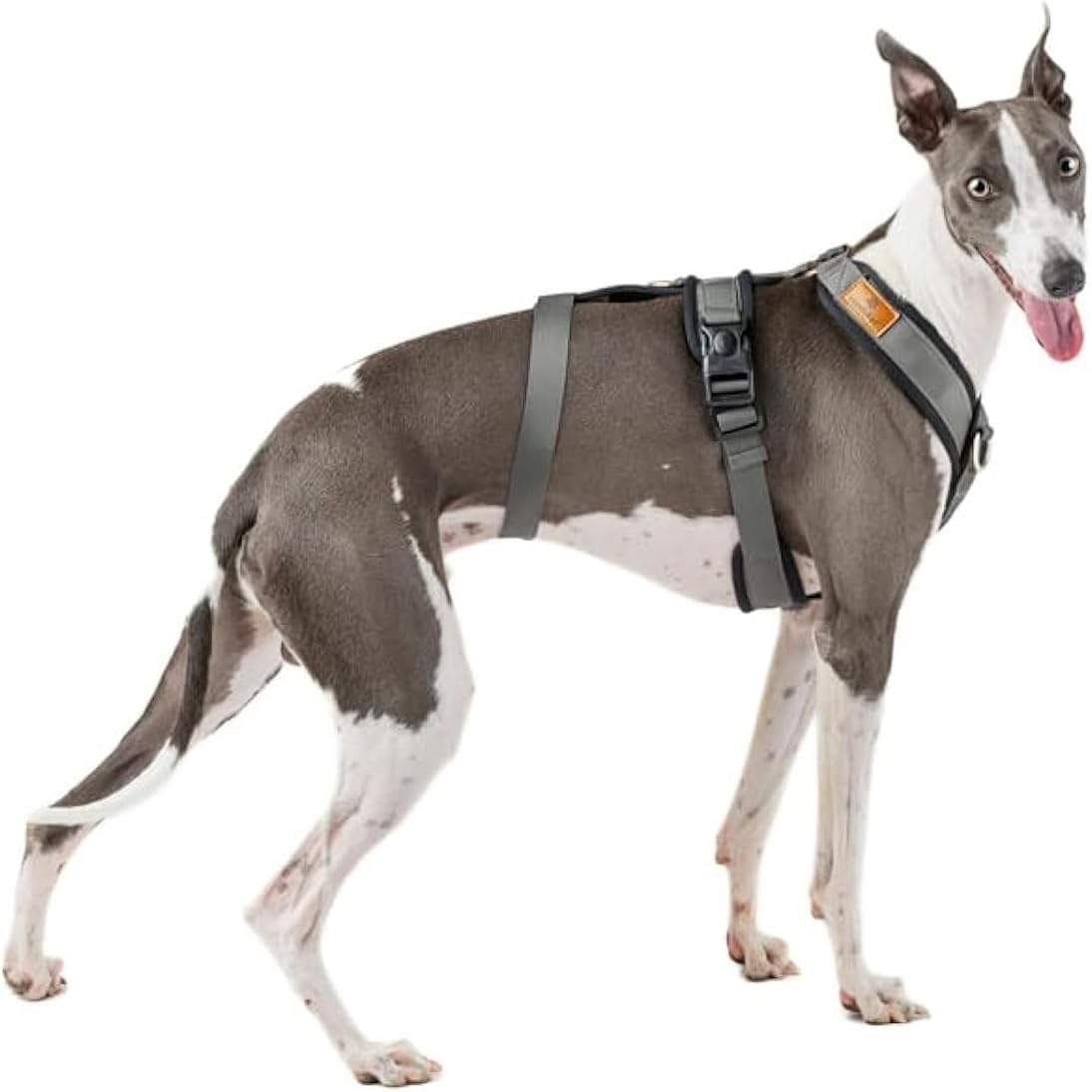 3 Point No Pull Harness, Ideal for Greyhound, Italian Greyhound, Whippet, Greyhound, Podenco - Safe, Breathable and Durable Walking, Training and Running - Anthracite, M image number 2
