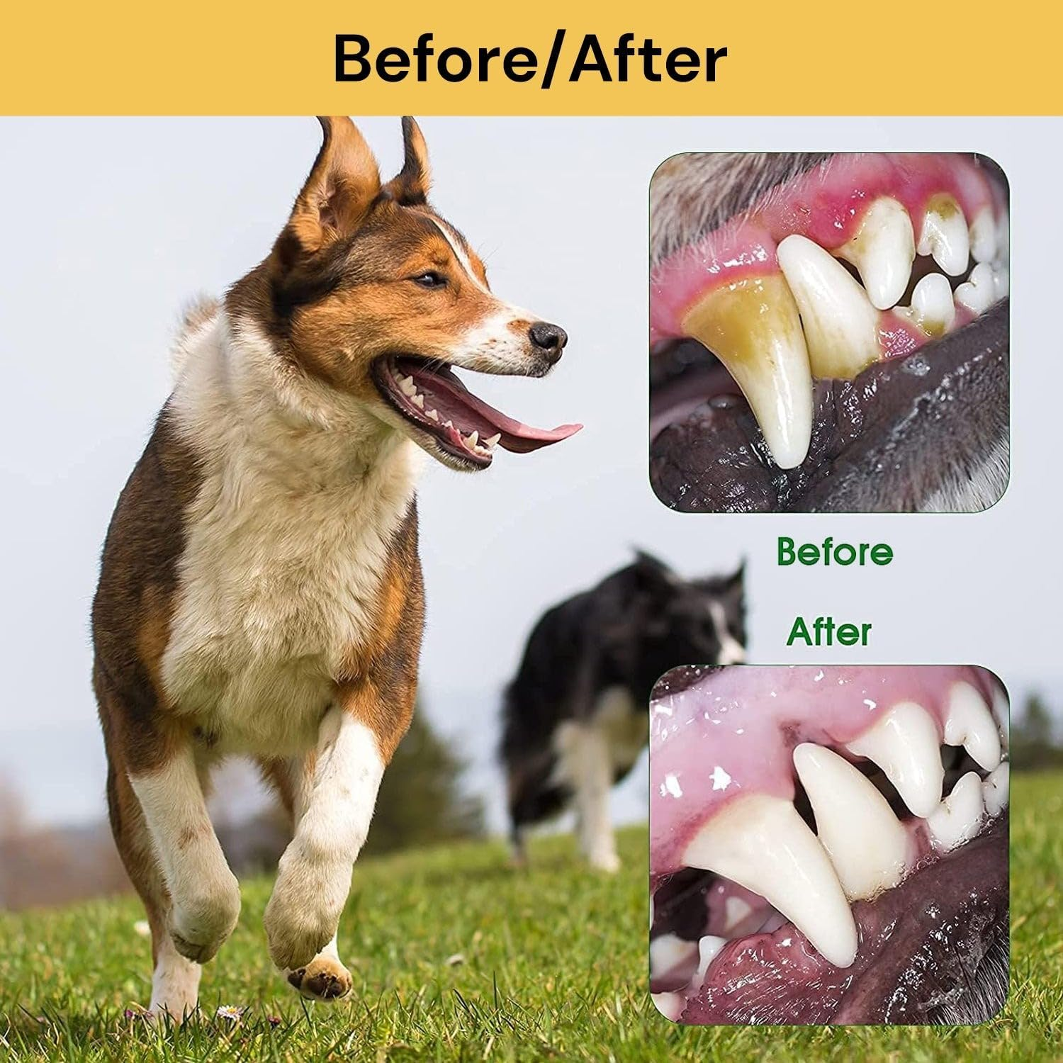 EZONEDEAL Three Sided Pet Toothbrush 360-Degree Pet Toothbrush Bad Breath Tartar Teeth Care Tooth Cleaning for Puppy, Small Dog and Cat (Dark Green) - Dark Green image number 4