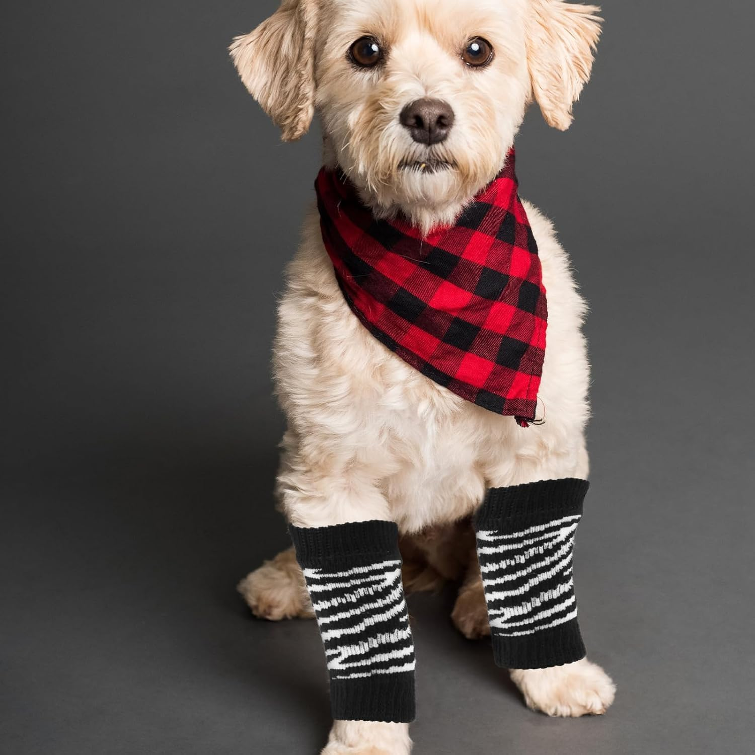 1 Set Dog Socks Dog Leg Warmers Adorable Dog Socks Zebra Elastic Socks for Dog Portable Dog Leg Protectors Dog Leg Sleeve Washable Pet Socks Leggings Breathable Cotton (Style 1, L) image number 1