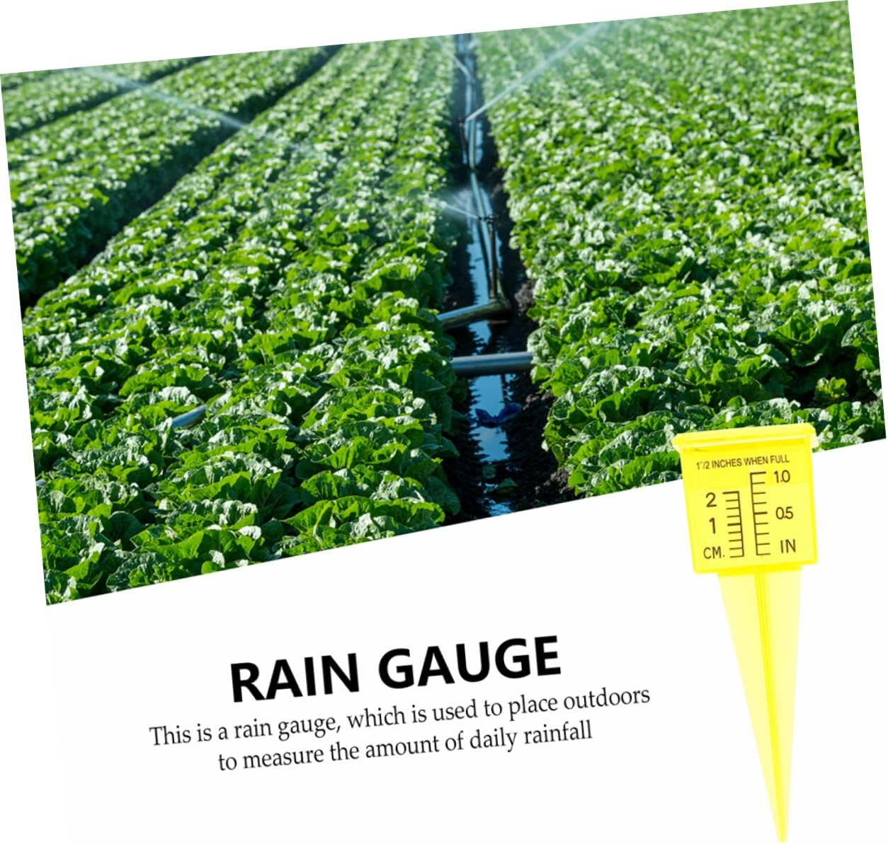 DOITOOL 3Sets Heavy Duty Outdoor Rain Gauge Plastic Sprinkler Gauge Rain Gauge Container for Accurate Rainfall Measurement 4Pcs*3 image number 5