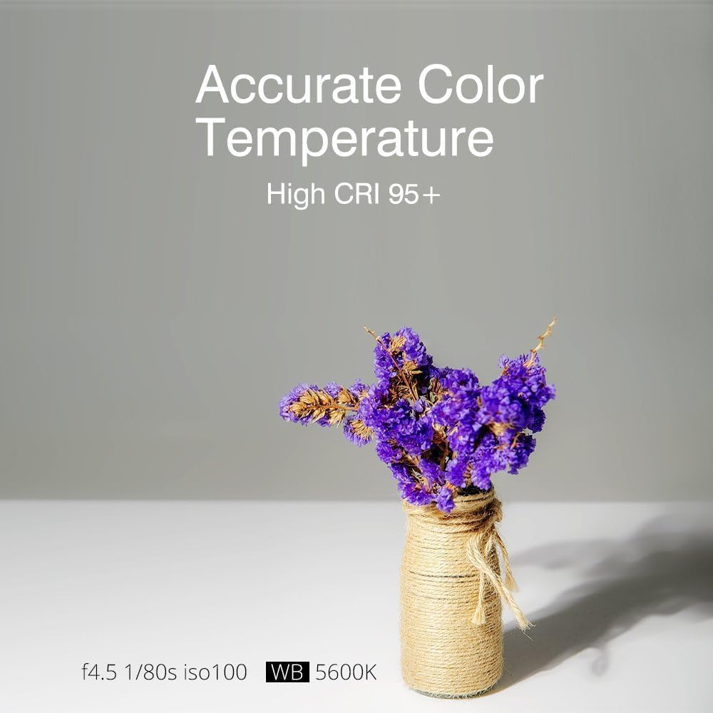 Godox SL60W SL-60W Studio LED Continuous Video Light with RC-A5 Remote, CRI95+ Qa>90 Dimming Bowens Mount Led Photography Light Daylight 5600K, for Video Recording Wedding Outdoor Shooting