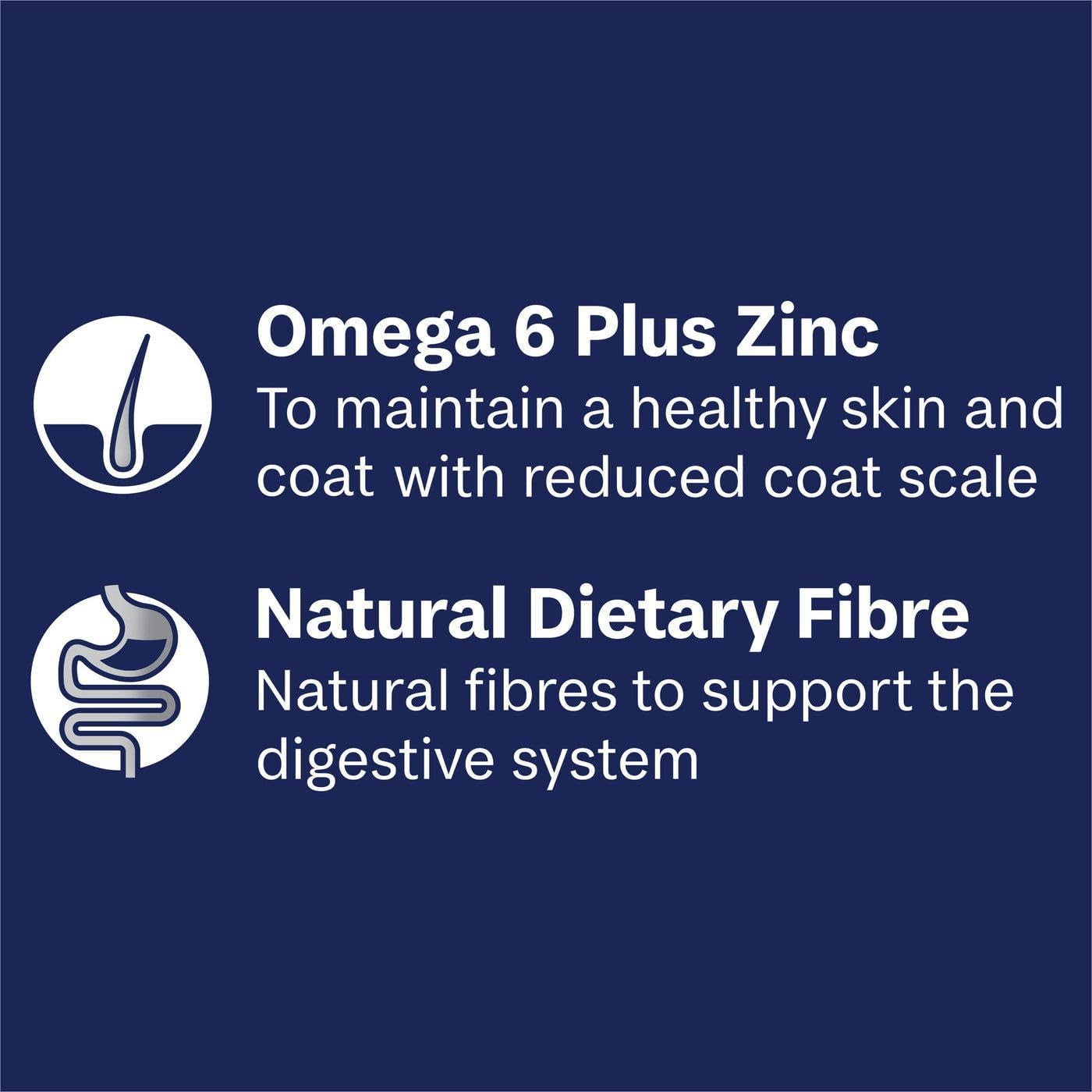 Advance Adult All Breed Turkey Wet Dog Food 100 G (Pack of 12) image number 2