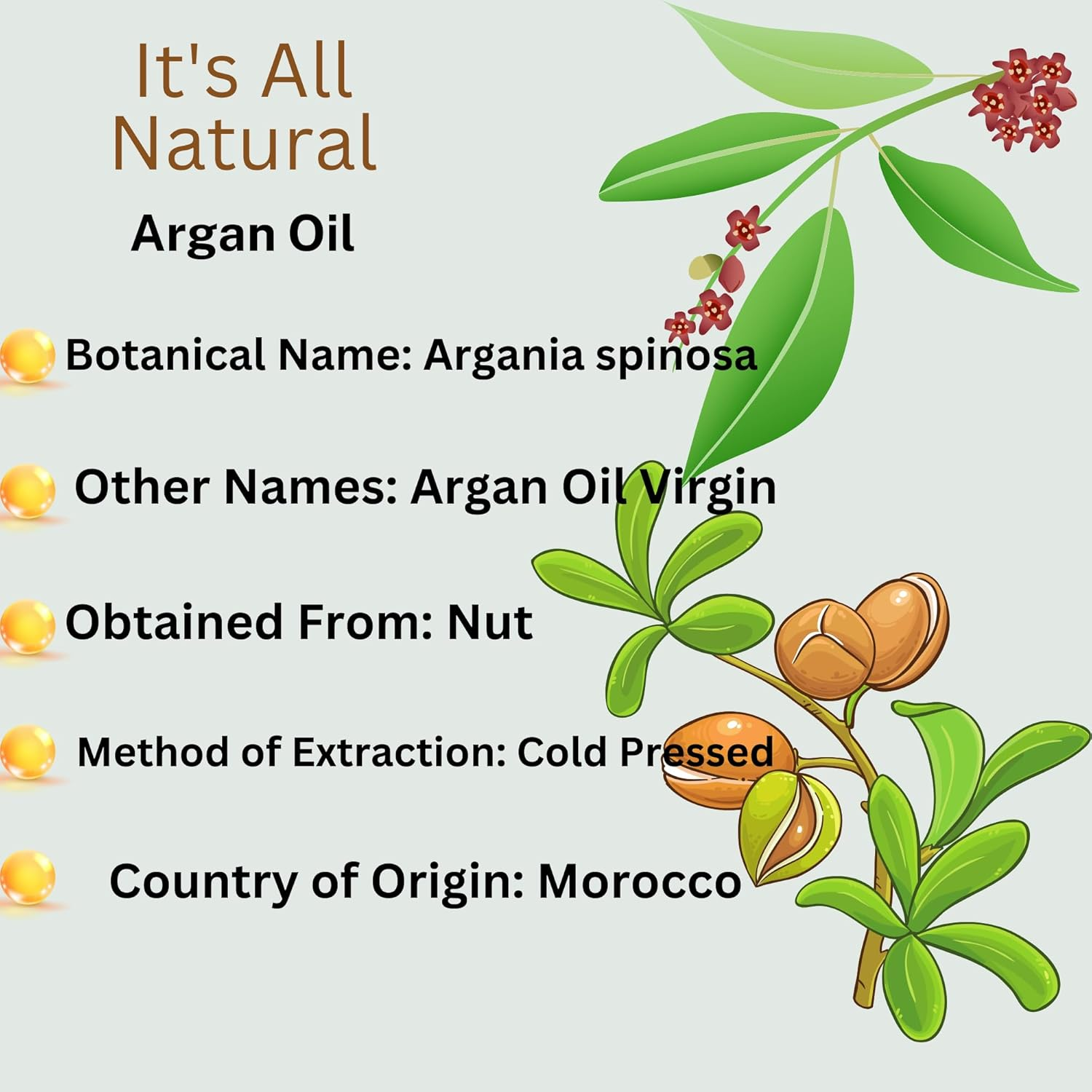 Pure Organic Moroccan Argan Oil &ndash; Cold-Pressed & Unrefined Natural Moisturizer for Face, Hair, Nails & Body | Non-Greasy, Fast Absorbing & Rich in Antioxidants Argon Oil | Glass Bottle with Dropper image number 2