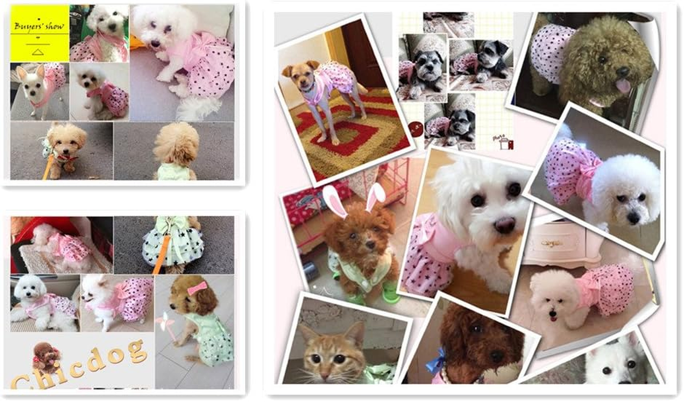 Hdwk&Hped Dog Dress with Leash Ring, Princess Multi-Layer Pleated Skirt Pentagram Bow Pet Dress for Small Dog Puppy Cat Pink #6 image number 5