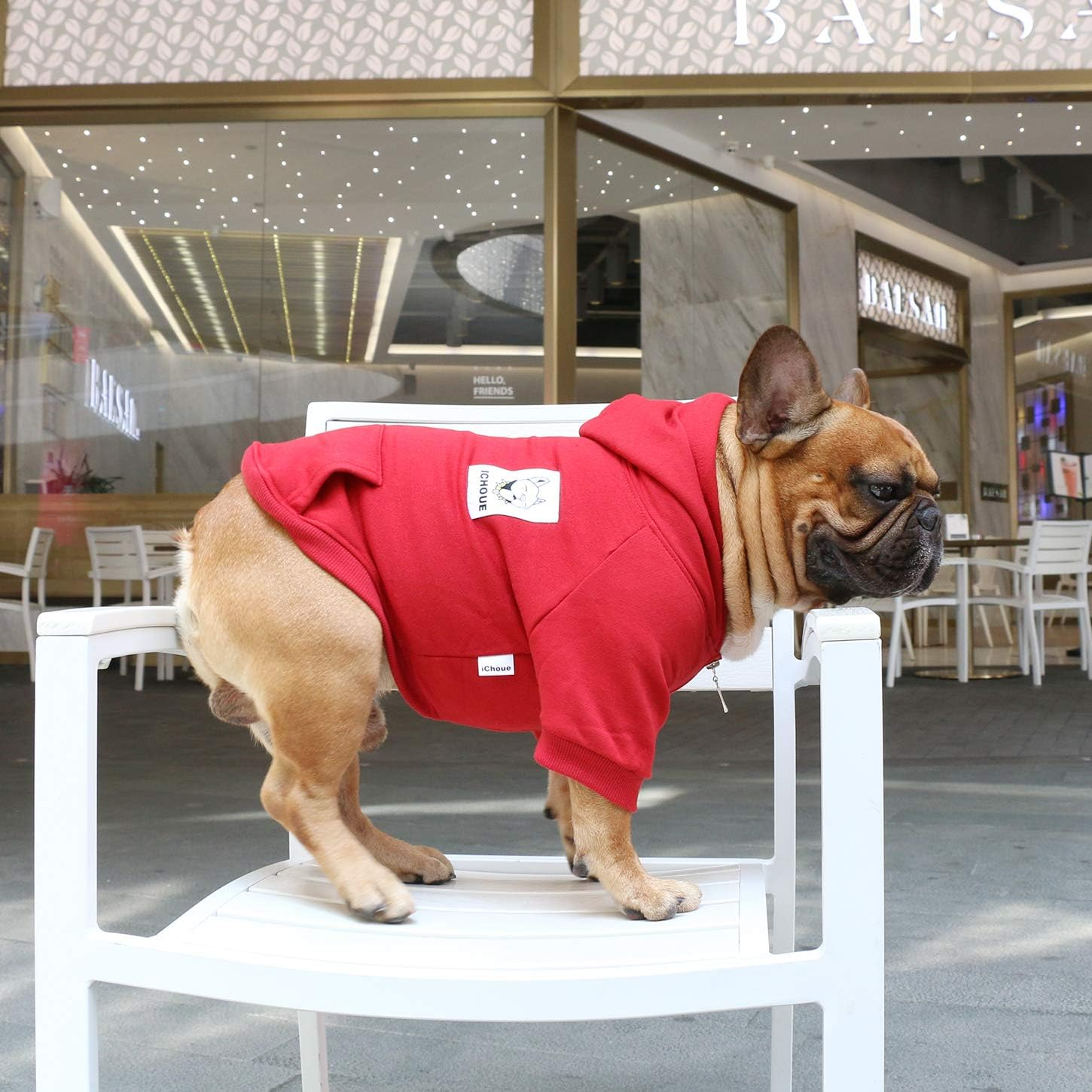 Ichoue Dog Half Zipper Hoodie Clothes Sweatshirt