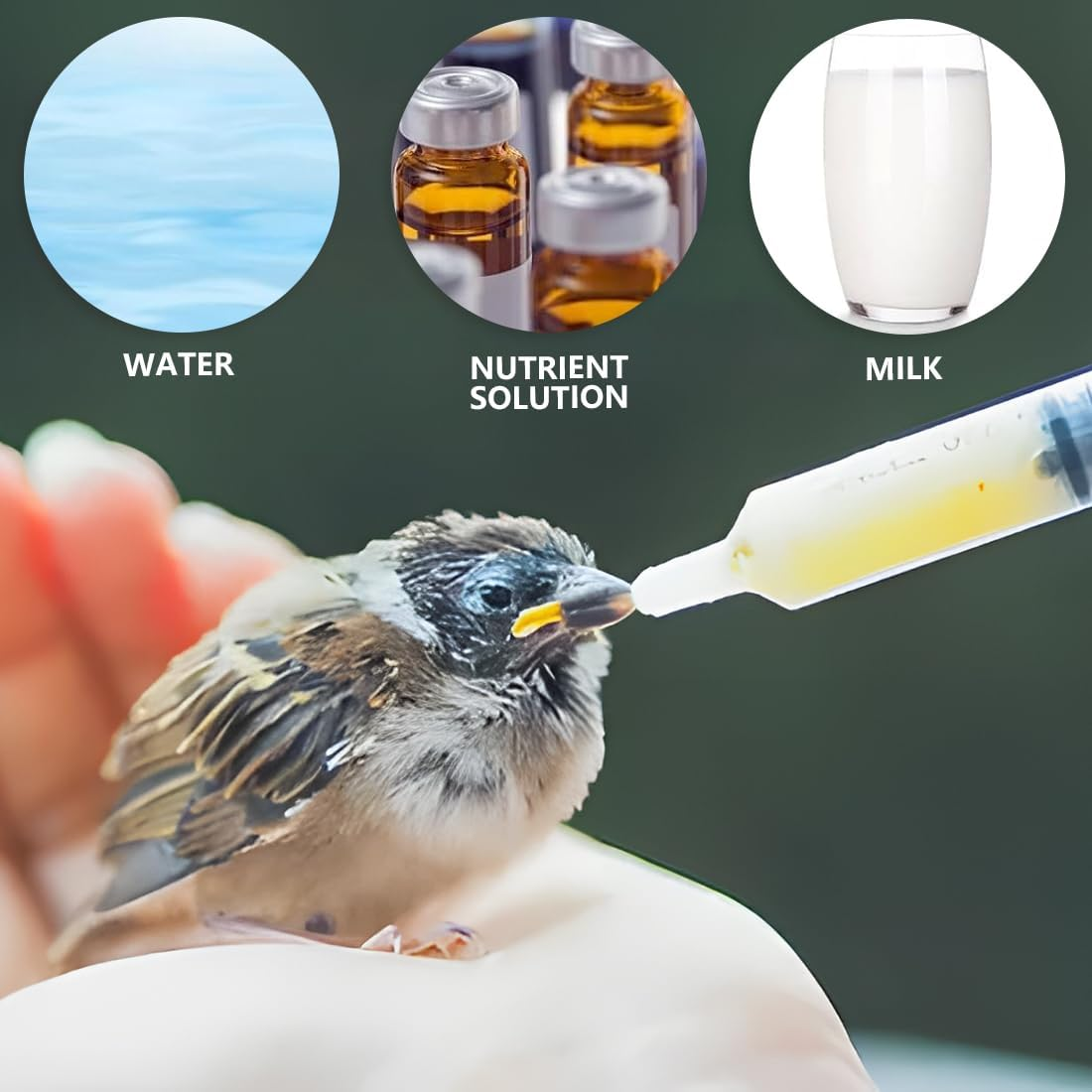 2 Pieces Feeding Tubes for Young Birds, Includes 10 Hose Connectors, Feeder Container, Manual Feeding Tool, Suitable for Young Birds and Parrots, Easy to Clean image number 2