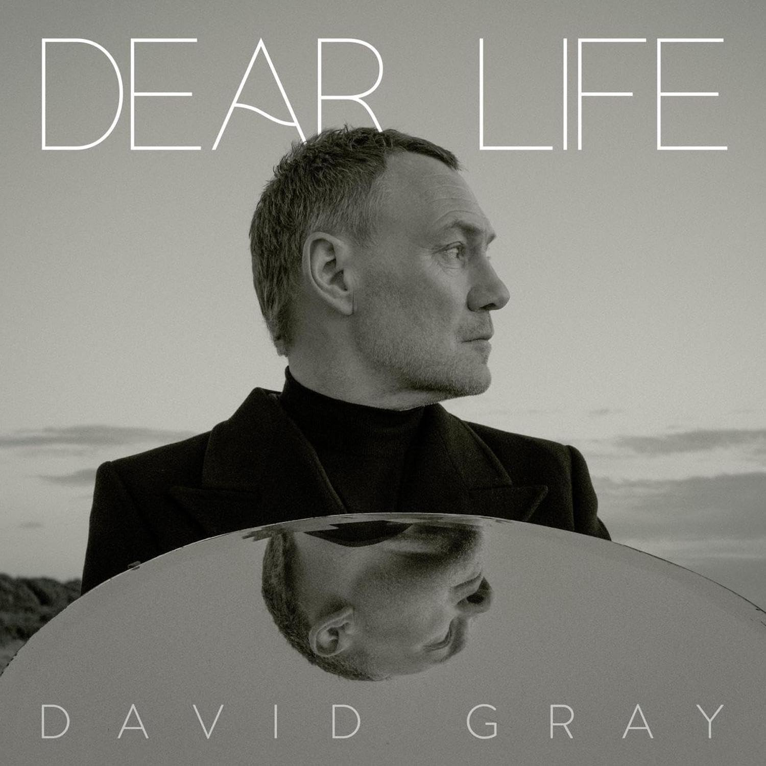 Dear Life [VINYL]