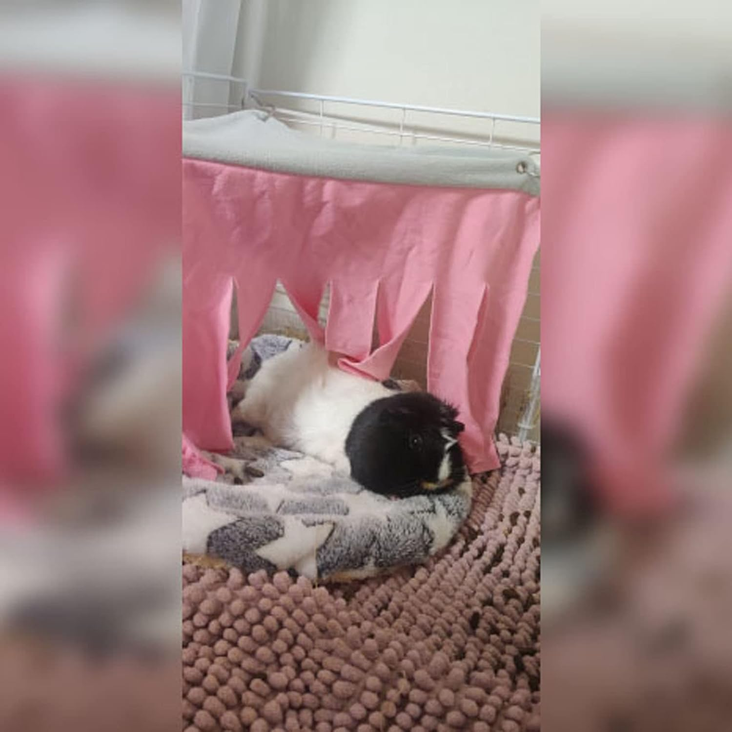 TRADERPLUS 2 Pieces Guinea Pig Hideout Rat Hideaway Corner Curtain Small Pets Hiding Spot for Ferrets Chinchillas Hedgehogs Dwarf Rabbits (Pink+Purple)