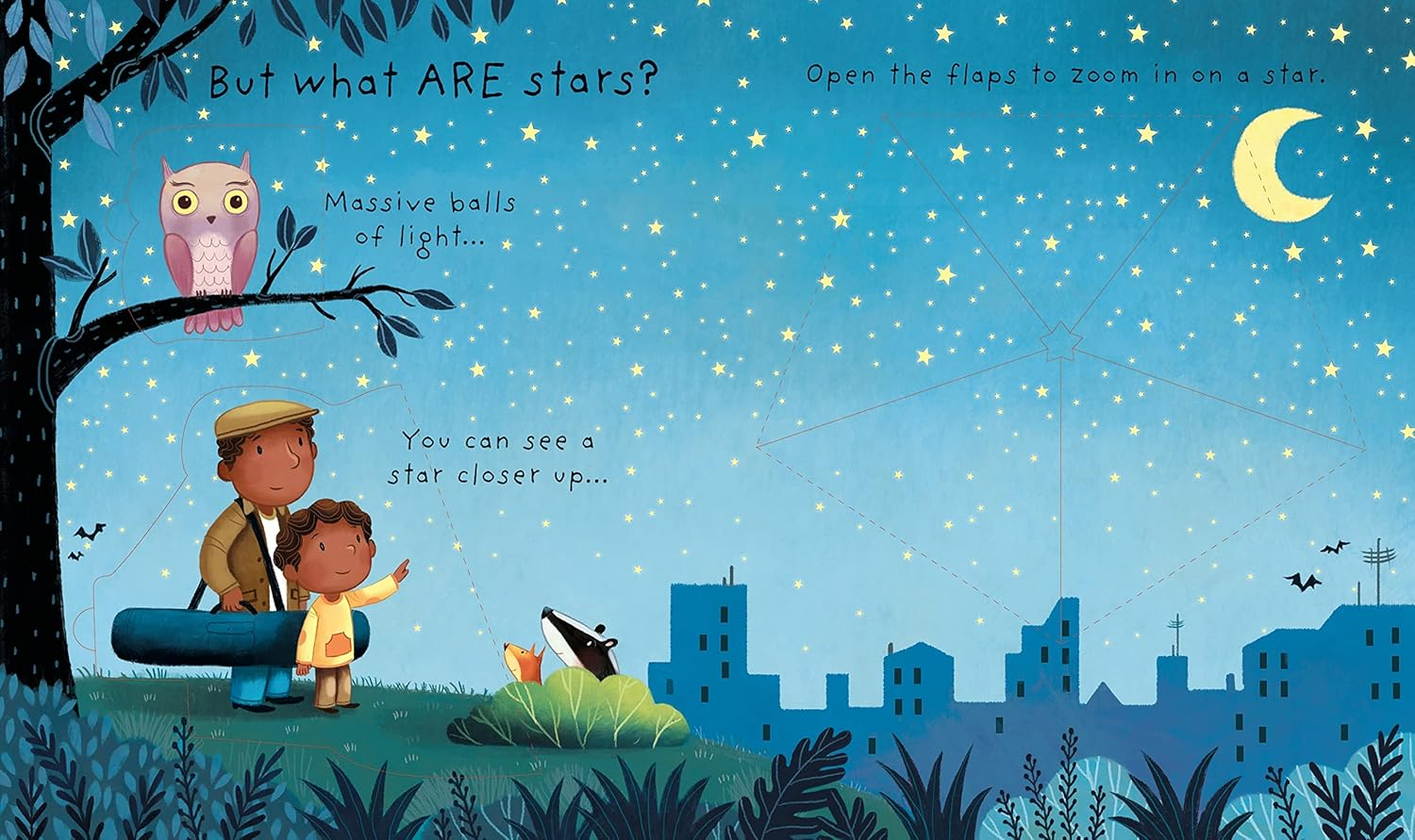 Usborne Very First Questions & Answers What Are Stars Book image number 1