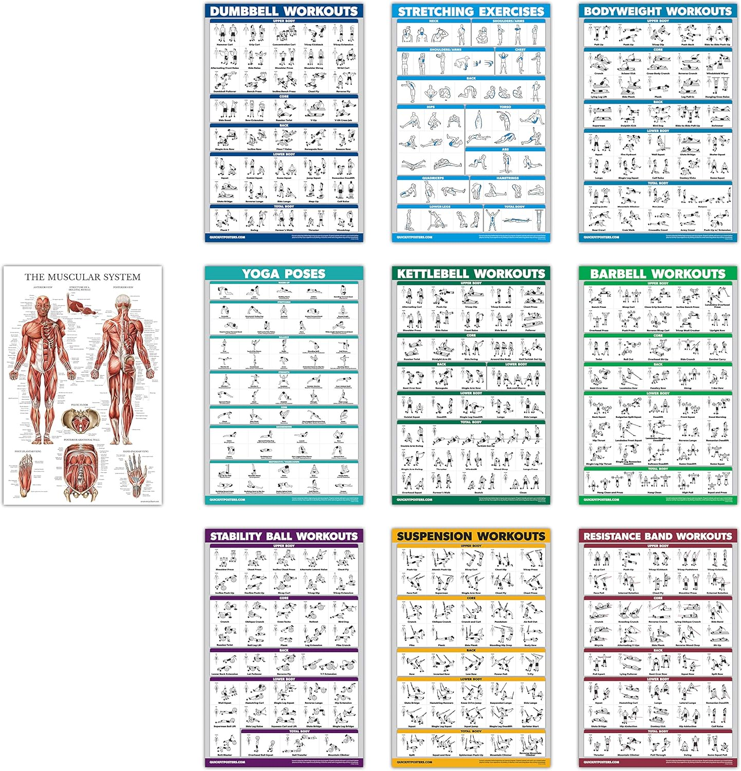10 Pack - Exercise Workout Poster Set - Dumbbell, Suspension, Kettlebell, Resistance Bands, Stretching, Bodyweight, Barbell, Yoga Poses, Exercise Ball, Muscular System Chart (LAMINATED, 18" X 27")