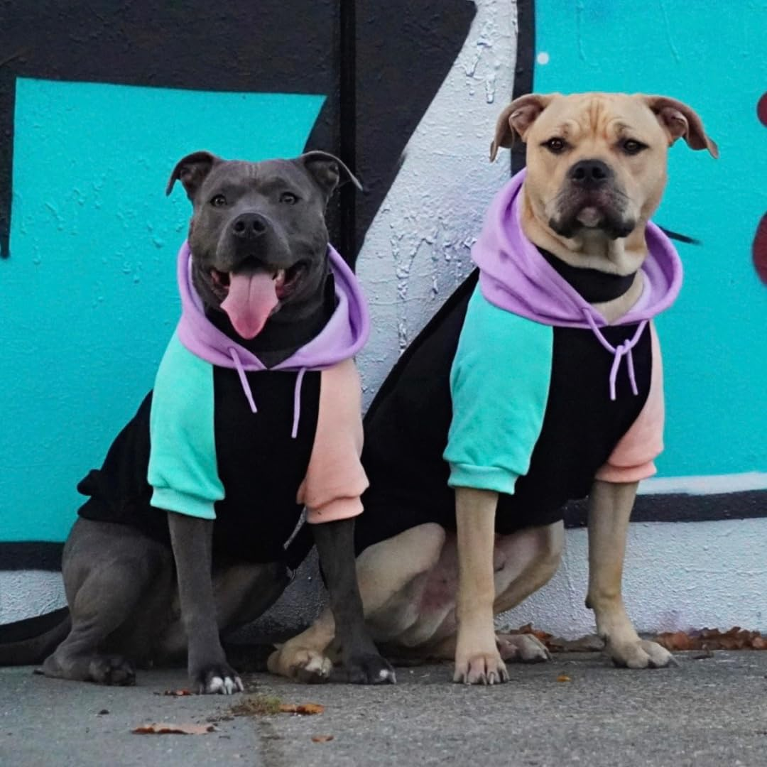 Spark Paws Dog Hoodie - Premium Quality, Buttery Soft, Superior Comfort and Fit, Calming Fleece Interior, Suitable for All Breeds - Cyber Punk - L image number 3