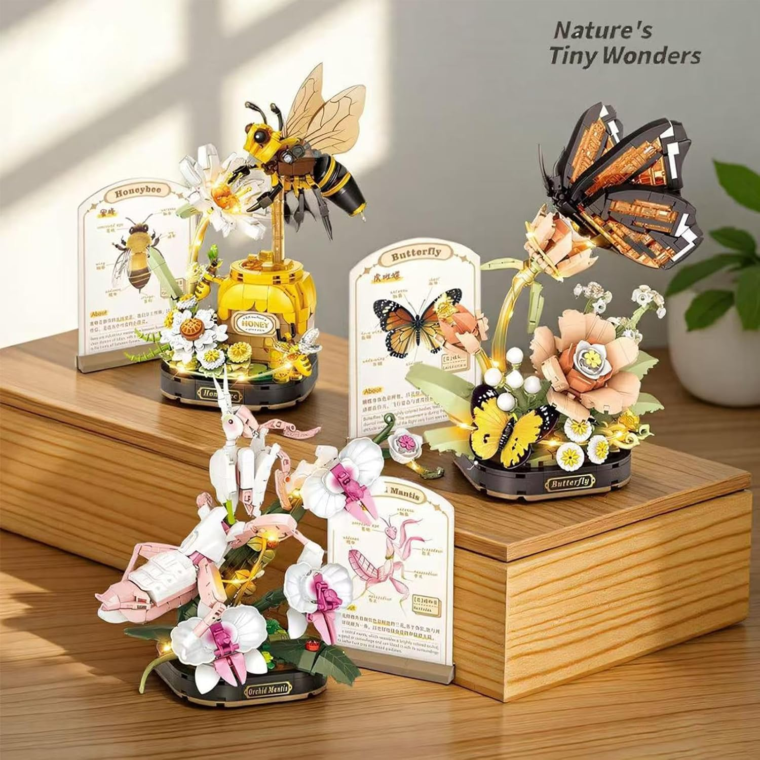 Insect Botanicals Micro Building Blocks Series with Strand and LED Light, Botanical Desk D&eacute;cor | STEM Model Kit for Adults & Teens (Honeybee) image number 1