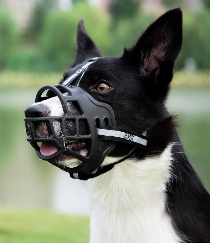 Breathable Basket Dog Muzzles for Small, Medium and Large Dogs - Prevents Barking, Biting and Chewing (Reflective Black, 3#) image number 2