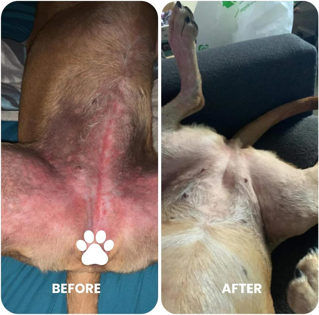 Nourish Pet Co. Derma Cream - Dog Skin Irritation Treatment, Hot Spot and Itch Relief for Dogs, Fast-Acting Moisturizing Formula, Soothes Dry Skin, Fragrance Free, 75G image number 4