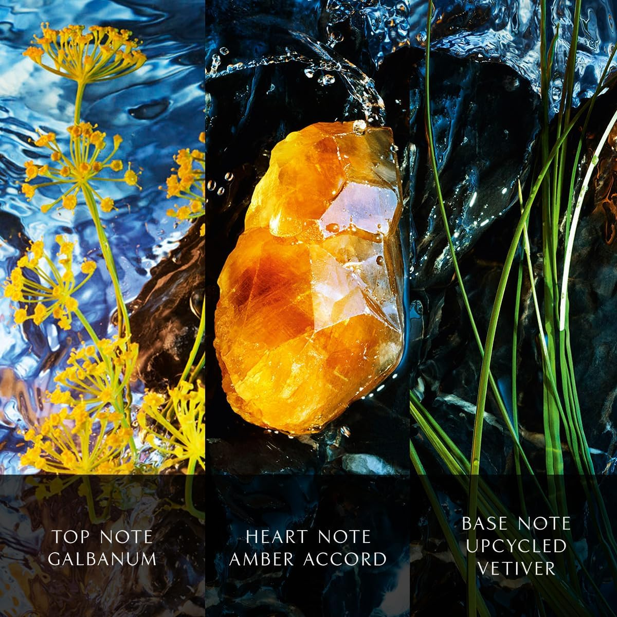 Davidoff Cool Water Reborn Eau De Parfum Intense for Men 100Ml image number 3