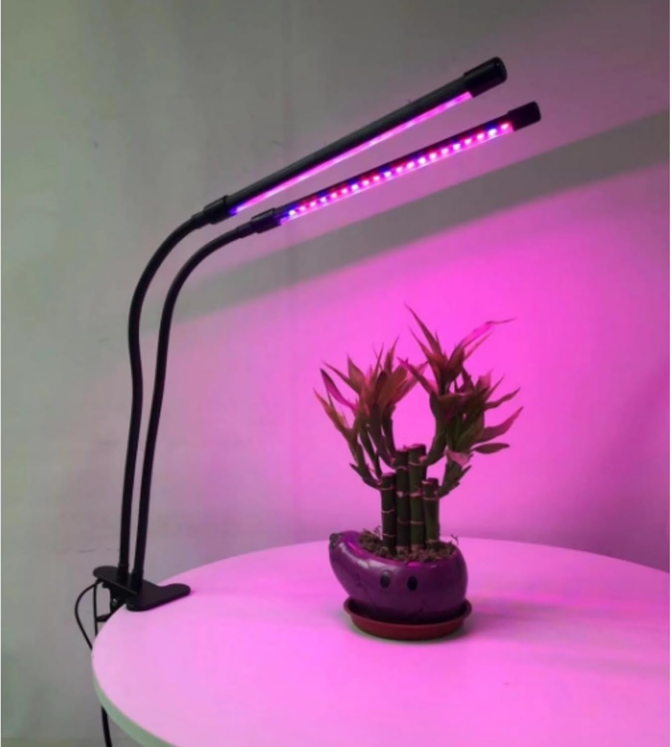 Grow Lights for Indoor Plant, LED Grow Lights for Indoor, Full Spectrum Plant Lights for Indoor Growing, Double Headed Grow Light, 9 Dimmable Levels Plant Lights, for Greenhouse, Office, Home image number 4