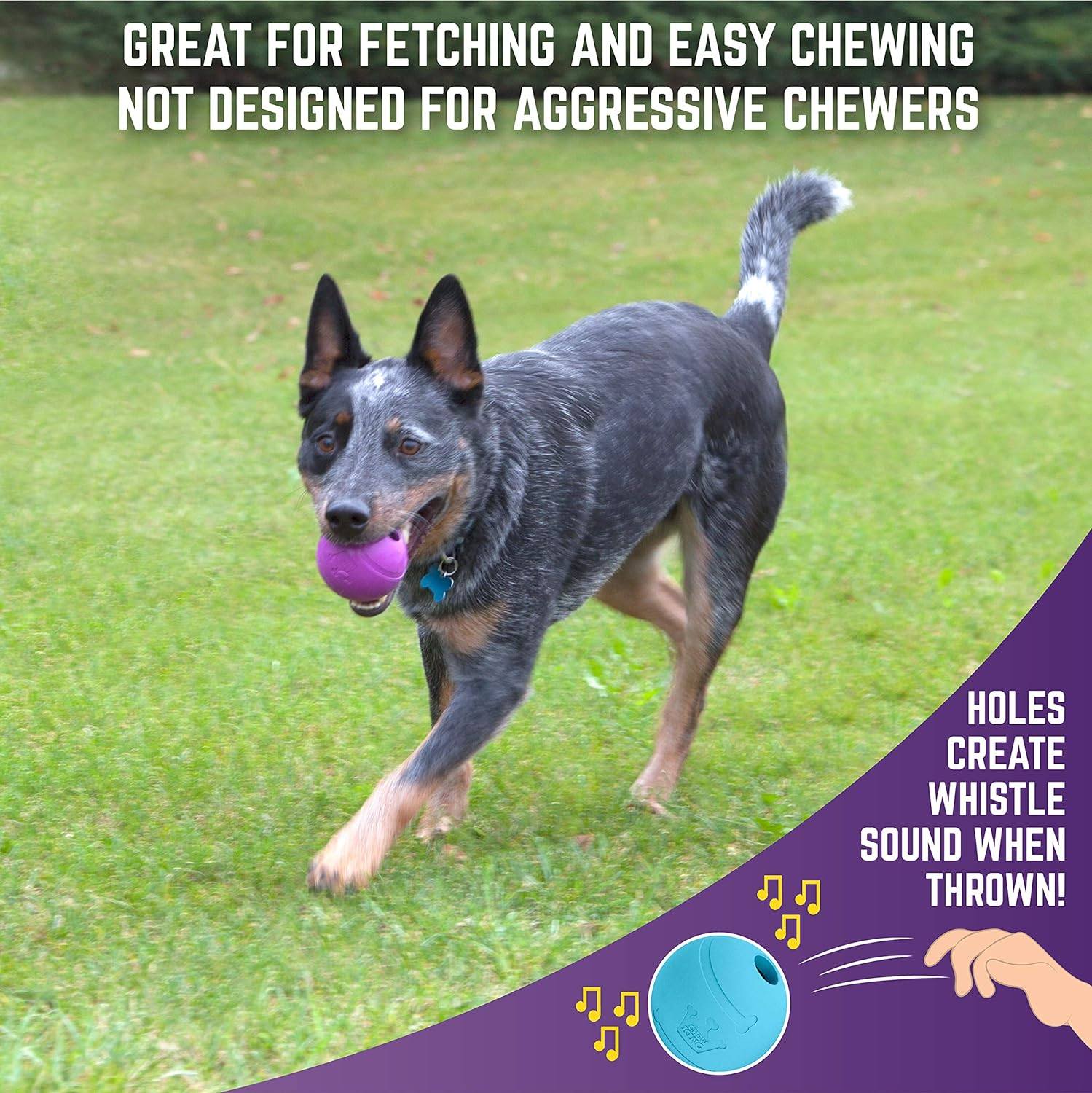 Chew King Fetch Balls Extremely Durable Natural Rubber Toy 3 Inch Balls - Pack of 3 (CM-0263-CS01) image number 3