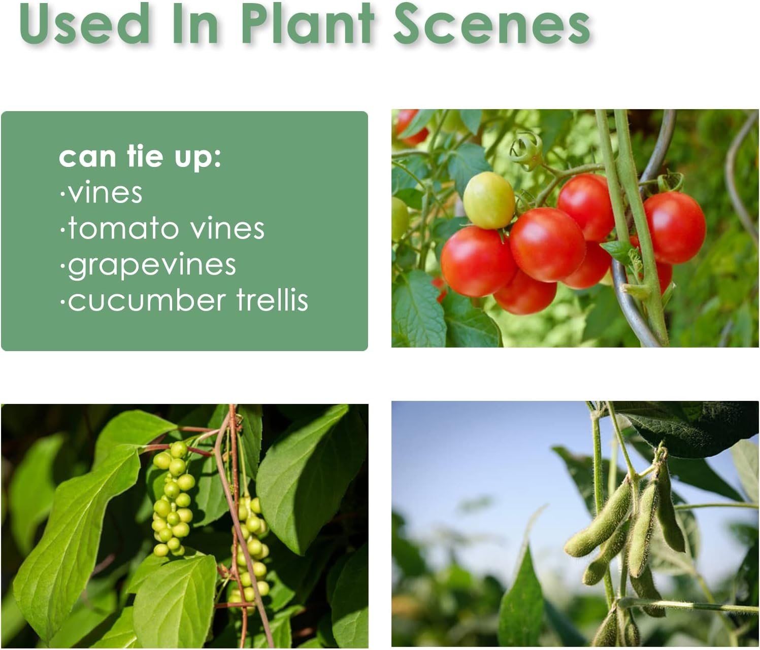 Plantactic Garden Tie Green Tape, Plant Supports, Gentle on Plants (16.4Ft &times; 0.6 Inch, 1 Roll, Green) image number 4