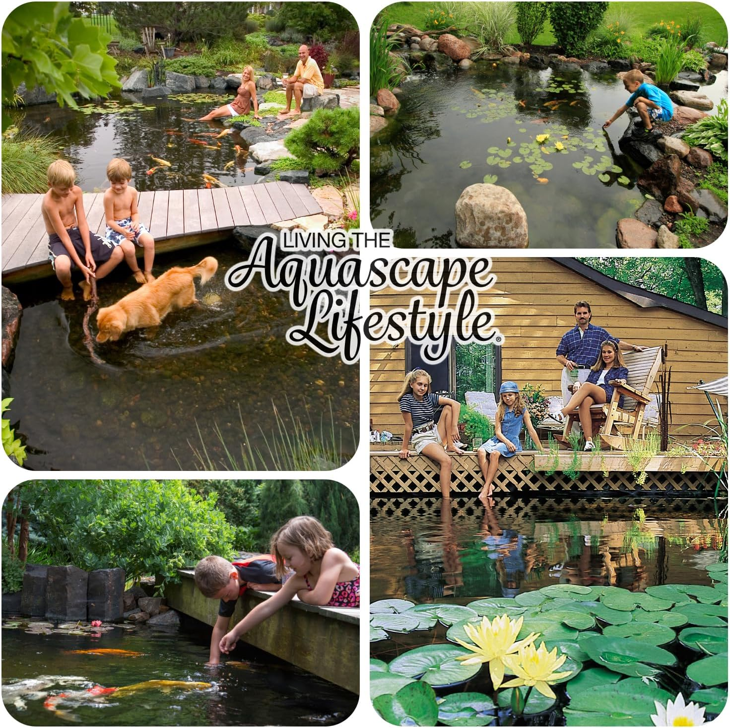 Aquascape Clean Ponds Water Treatment, 3.78 Litre image number 3