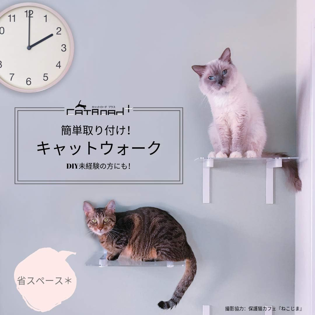 [3-Piece Set] Clear Step [Animacolle] Cat Road plus ~ Beautiful and Functional Design with Strict Quality Standards - Clear image number 2